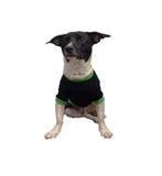 Mexico Dog Soccer Jersey-T-shirt World Cup Qatar 2022-Fifa