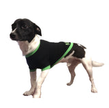 Mexico Dog Soccer Jersey-T-shirt World Cup Qatar 2022-Fifa