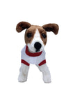 USA Dog Soccer Jersey-World Cup Qatar 2022-Fifa