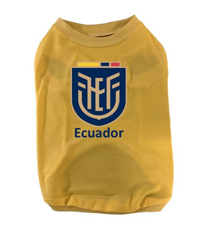 ecuador soccer jersey 2022 world cup