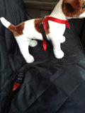 Pet Seat Cover-with Bonus Dog Seat Belt-quilted Hammock to Protect Cars-durable Waterproof Heavy Duty Material, Back Seat Cover with Adjustable Rubber Straps, Guaranteeing Firm Grip During Travel. It Includes a Safety Seat Belt.