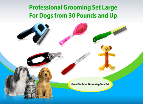 Best professional dog discount grooming tools