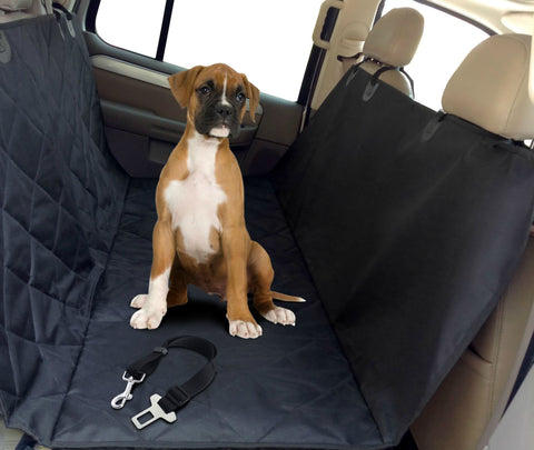 Dog Car Seats and Seat Belts: Can They Keep Your Pup Safe?